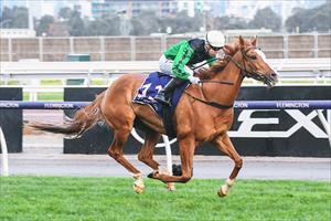 Riddle Me That, Winter Champ Finals, Flemington July 2023